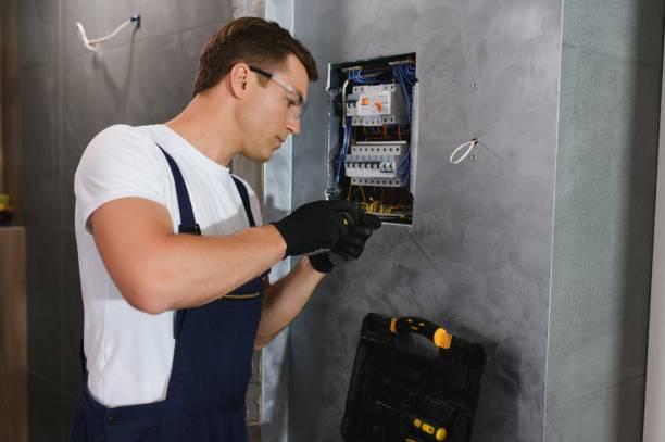 Best Home Electrical Repair  in Newberry, MI